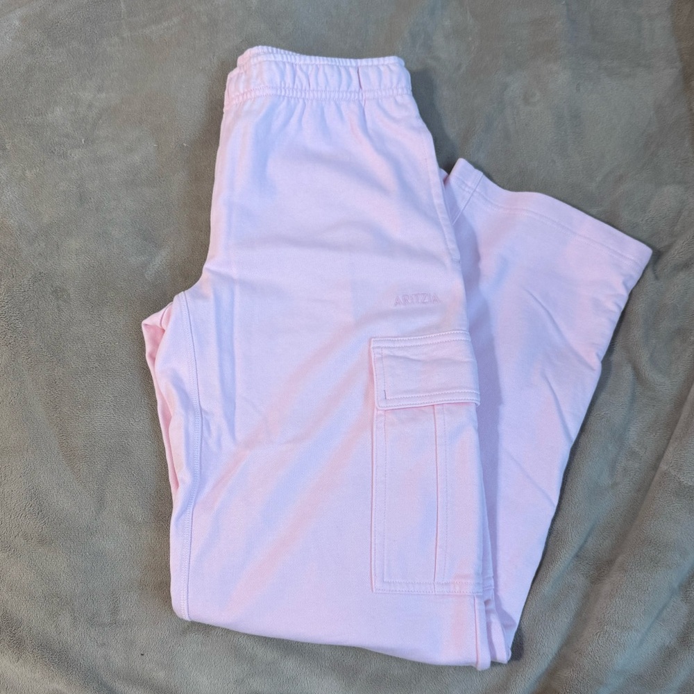 Aritzia Villa Pink Cargos
